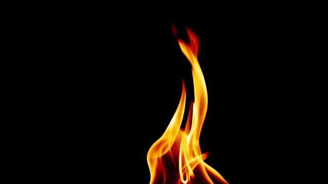 Isolated real fire flame igniting and burning on black background in slow motion