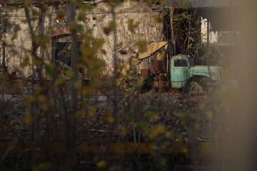Old Truck.Abandoned old green truck and tree branches.