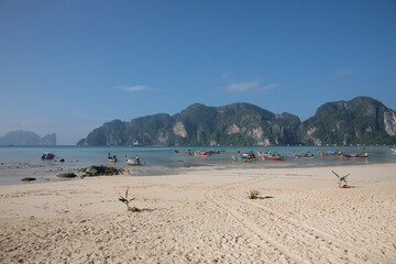 View of Tonsai bay with longtail boats and  rocks in Phi Phi island,  Phuket, Krabi province , Thailand. 