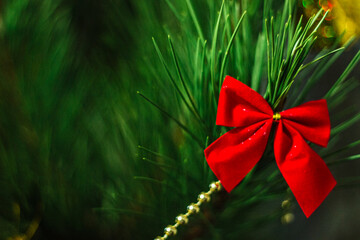 Christmas green background with red round bow on a branch of a christmas tree - 383809213