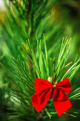 Christmas green background with red round bow on a branch of a christmas tree - 383809490