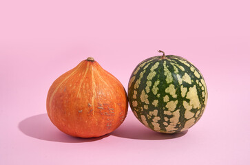 Pumpkin and watermelon on pink background in sunlight. raw vegetarian food. 