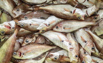 Distrito Xermar (Alberte sánchez Regueiro)