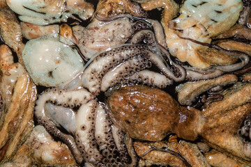 Distrito Xermar (Alberte sánchez Regueiro)