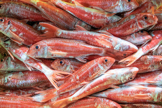 Distrito Xermar (Alberte s&aacute;nchez Regueiro)