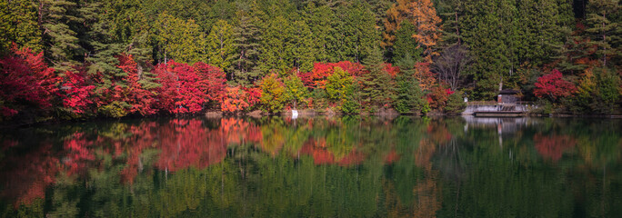 山梨県 南伊奈ヶ湖 紅葉