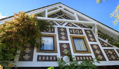 Fototapeta na wymiar Giebel eines wundervoll bemalten Holzhauses im Spreewald vor strahlend blauem Himmel