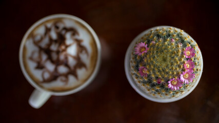 Beautiful blooming wild desert cactus flower,Phoenix - Arizona with coffee