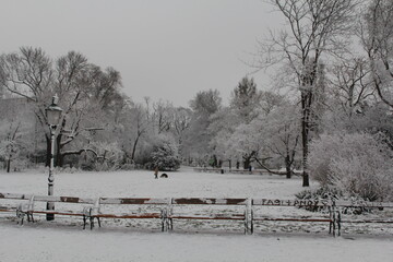 City snow-covered Park with empty benches and a lone figure of a man with a dog