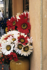 紅白のガーベラ