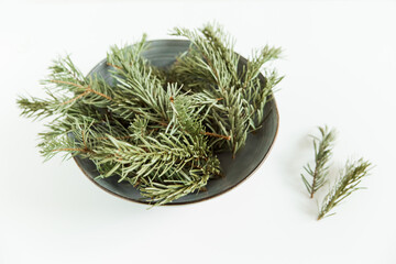 Fir pine branches on the plate. Christmas tree on the white background. Copy space. Minimalist Scandinavian style
