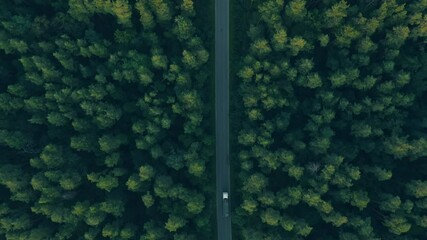 Top view of cargo truck driving on the forest road, transportation, shipping