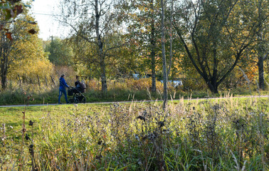 person walking in the park
