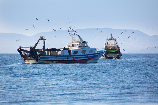 Trwler boats with seagulls in Ibiza Formentera