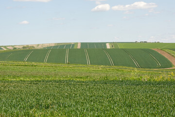 Landscape of agricultural fields on the South Downs Countryside, Sussex, England
