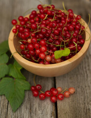 red currants and leaves in a wooden  bowl against brown background