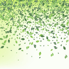 Green Leaf Ecology Green Background Wallpaper. 