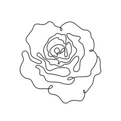 Rose flower. Continuous drawing. Line art concept design. Hand-drawn vector illustration.