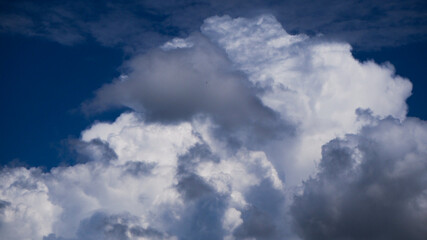 Cumulus au développement marqué