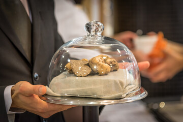 white truffles under a glass cloche on a tray in the hand of a waiter