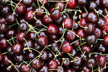  Fresh ripe cherries. Food background.