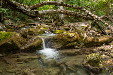 Fototapeta premium waterfall in the forest, rocky river, waterfall in the mountains