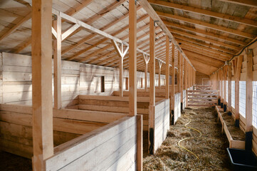 Fototapeta na wymiar Empty woden stable/ barn with hay on the floor