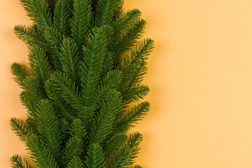 Top view of frame made of fir tree on colorful background with copy space. Merry Christmas concept