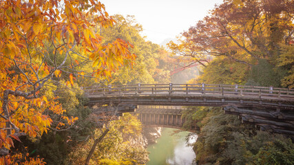 山梨県 甲斐の猿橋 紅葉