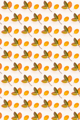 Colored autumn leaves pattern. Autumn background image