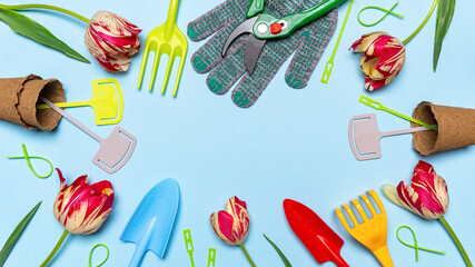 Fototapeta na wymiar Fresh tulips flowers, multi-colored garden tools, garden signs and gloves on blue pastel background. Creative composition, springtime. Gardening, spring work concept. Flat lay, top view, copy space