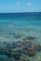Obraz na płótnie Canvas coral reef and sea