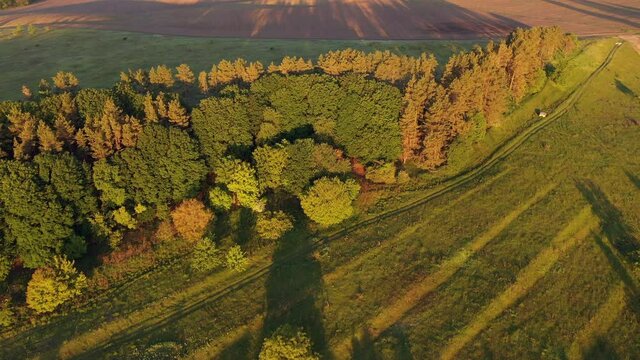 Aerial drone flyover of green hills, forest and farmland at golden hour