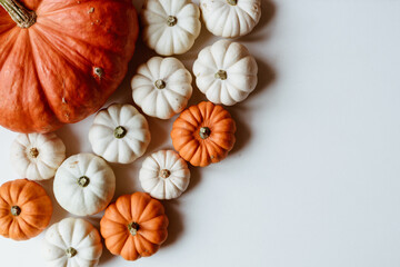 Fototapeta na wymiar Many orange and white pumpkins on white background. Halloween concept.