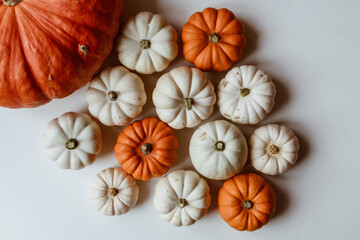 Many orange and white pumpkins on white background. Halloween concept.