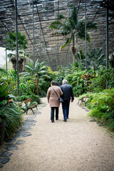 Couple walking in botanical garden glasshouse - 383832670