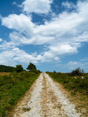 Fototapeta na wymiar nice dirt road with seeing you around and trees in the background. the sky is blue with white clouds