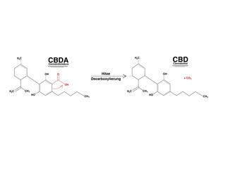 CBD – die Herstellung. 
Bei der schonenden CO2-Extraktion bleibt das volle Inhaltsstoffspektrum (Terpene, Flavonoide und alle Cannabinoide) enthalten. Entourage-Effekt