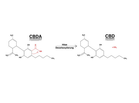 CBD &ndash; die Herstellung. 
Bei der schonenden CO2-Extraktion bleibt das volle Inhaltsstoffspektrum (Terpene, Flavonoide und alle Cannabinoide) enthalten. Entourage-Effekt