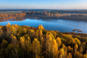 Obraz premium Fall morning. Aerial view of forest and lake. Lake among forest. Yellow leaves on trees.