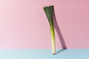 Vegetarian food ingredients on colorful background