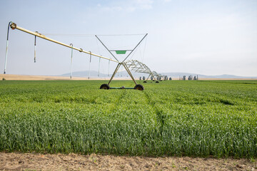 Irrigation pivot in a green field 5
