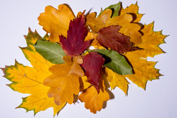 Naklejka na ściany i meble Autumn colorful leaves on white background, flat lay, copy space, top view, corner location