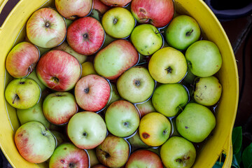 Eimer mit Apfel im Wasser