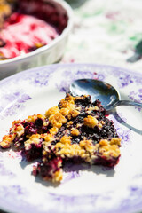 Fresh made blueberry pie with crumble crust. Selective fopcus on subject.