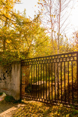 Entrance to the autumn abandoned alley