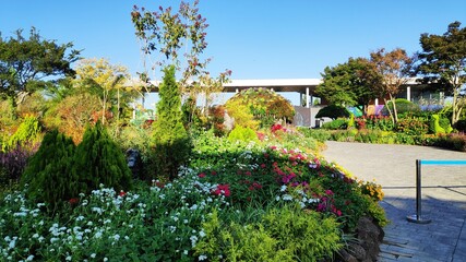 garden with flowers