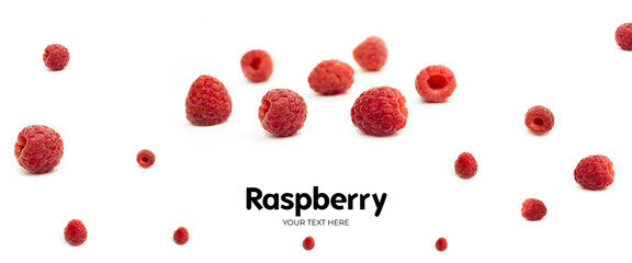 Raspberry on white background. Long header banner format. Panorama website header banner. High quality photo