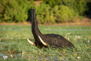 Fototapety na wymiar - Fototapeta24.pl