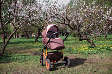 A prum in a Park among green trees.